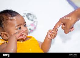 Ravid hi-res stock photography and images