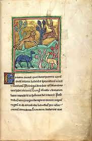 Image result for arte duecentesco