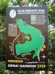 Hike to denai tiga puteri, kdcf. Kota Damansara Forest Reserve Hike Harmoni Trail To Tiga Puteri Peak The Perpetual Saturday