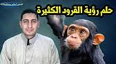 يشير عادة تفسير حلم المخدرات في الحلم إلي إتساع رزق الرائي وحصوله علي الكثير من فماهو تفسير هذه الرؤيا فى حالته؟. Ù‡Ù„ ØªØ¹Ù„Ù… Ù…Ø§Ù‡Ùˆ ØªÙØ³ÙŠØ± Ø­Ù„Ù… Ø§Ù„Ù‚Ø±ÙˆØ¯ ÙÙŠ Ø§Ù„Ù…Ù†Ø§Ù… ÙˆÙ…Ø¯ÙŠ Ø§Ø±ØªØ¨Ø§Ø·Ù‡Ø§ Ø¨Ø§Ù„Ø³Ø­Ø± Ø§Ù„Ù…Ø¯ÙÙˆÙ† Youtube