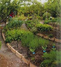 Good Enough To Eat South Africa Garden Design Edible Garden Hardscape