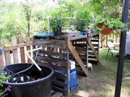 Plants Fish Help Each Other In Aquaponics