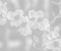 On vimeo, the home for high quality videos and the people who love them. Https Ahsgardening Org Wp Content Pdfs 2016 07r Pdf