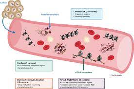 Image of breast cancer being detected by lunit's insight cxr. Transforming The Landscape Of Early Cancer Detection Using Blood Tests Commentary On Current Methodologies And Future Prospects British Journal Of Cancer