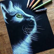 Instagram Art Featuring Page On Instagram Night Cat Gorgeous Drawing On Black Paper By Shining Star Draws Black Paper Drawing Cat Art Art