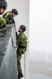 The swedish armed forces (swedish: Armen Forsvarsmakten