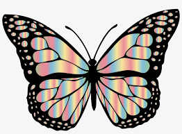 These pictures are created for young artists! Jpg Library Stock Svg Frames Illustrations Hd Images Butterfly Drawing With Colour 2310x1590 Png Download Pngkit