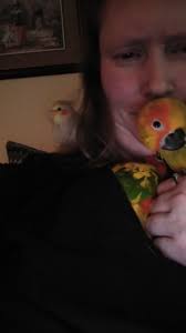 Sunny hiding in shirt, new behavior