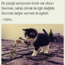 Siir Sokakta In Instagram Gonderisi 29 Kas 2018 3 03os Utc Osho Felsefe Ozlu Sozler