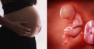 Maybe you would like to learn more about one of these? Cara Memperbanyak Air Ketuban Menurut Medis Ini Yang Perlu Diketahui