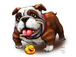  Bulldog Bulldog Cartoon Bulldog Bulldog Art