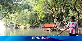 Taman nasional ujung kulon juga merupakan habitat asli badak bercula satu yang menjadi lambang dan binatang yang dilindungi. Menepi Ke Ujung Kulon Halaman All Kompas Com