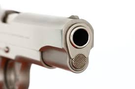 Image result for Wheat Beige 1992 Colt