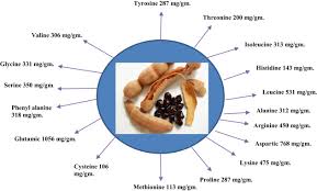 Image result for Tamarindus