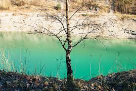 5 Etappe Die Blaue Lagune Lengerich Wildes Ostwestfalen Unterwegs Im Teutoburger Wald Im Munsterland Ziel Ist Der Blaue Lagune Teutoburger Wald Lagunen