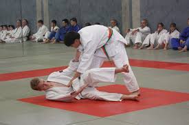 Judo definition, a method of defending oneself or fighting without the use of weapons, based on jujitsu but differing from it in banning dangerous throws and blows and stressing the athletic or sport element. Judo Polizei Sv Wengerohr E V
