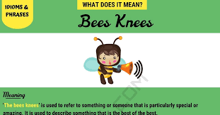 Have you ever wondered about the origin of the phrase the bee's knees or what it means? Bees Knees How To Use The Popular Phrase Bees Knees Correctly 7esl