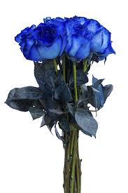 Check spelling or type a new query. Blue Flowers Cheap Blue Flowers For Sale Flower Explosion