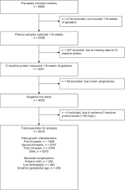 c reactive protein levels in early pregnancy fetal growth