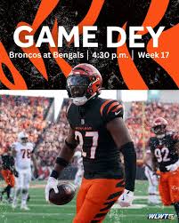 Who Dey Nation
