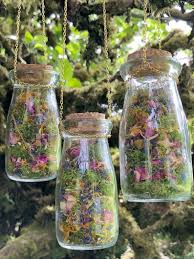 Botanischer Garten Terrarium Hangen Getrocknete Blumen Moos Etsy In 2020 Garden Terrarium Dried Flowers Earthy Home Decor