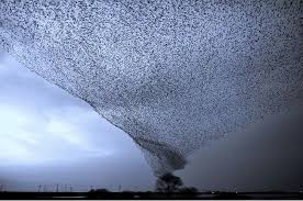 Mar 13, 2013 · the 50 most perfectly timed photos ever. The 100 Best Photographs Ever Taken Without Photoshop