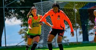 Colombia vs. Argentina: Semifinal de Copa América Femenina y el Sueño Olímpico - Imagen principal del artículo
