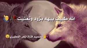 تحميل أغنية شعر عن الذيب البراري mp3 mp4