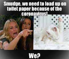 76 Smudge The Cat Memes Ideas Cat Memes Memes Funny Memes