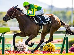 Aug 22, 2021 · no.1競馬サイト「netkeiba.com」が札幌記念(g2).2021年8月22日札幌の競馬予想・結果・速報・日程・オッズ・出馬表・出走予定馬・払戻・注目馬・見どころ・調教・映像・有力馬の競馬最新情報をお届け！ Kyr3gikjqjwdmm