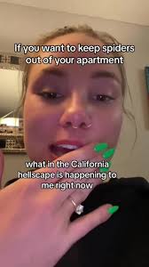 Irish Spring Soap Keep Spiders Away