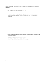 Dna transcription and translation worksheet practicing dna from transcription and translation worksheet answer key , source:hasshe.com all you have to do when you arrive on their page that is principal is either select one of several templates they give or start fresh. Worksheet 7 Dna Transcription And Translation Questions Studocu
