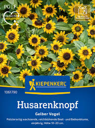 Image result for Vepris sansibarensis