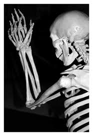 Skeleton praying hands lily svg clipart png/svg/dxf/eps intheweedsdesigns. Praying Skeleton By Redd Pixels On Deviantart