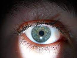 Blue Green Eyes Among Human Phenotypes Blue Green Grey Eyes Are A Relatively Rare Eye My Ener Grey Green Eyes Hair Colour For Green Eyes Green Eyes