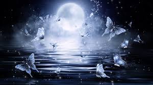 We did not find results for: Moon Night Wallpapers Wallpaper Cave
