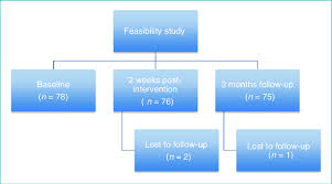 Feasibility Study Flowchart Download Scientific Diagram