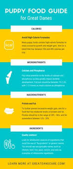 Main building blocks for growth. 30 Food For Great Danes Ideas Great Dane Great Dane Dogs Dane