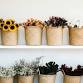 Canvas Flower Pot Arranging - My Cellar Wine Bar