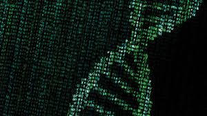 First training discussed more general about how to use bioinformatics to analyze the data produced from ngs. An Explosion Of Bioinformatics Careers Science Aaas