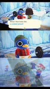 I Hope This Isn T A Repost Because It Definitely Gave Me A Good Chortle Animalcrossing Animal Crossing Funny Animal Crossing Memes Animal Crossing