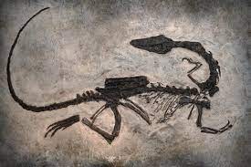 Wikijournal of science, 2018, 1(1):6 doi: Cs106a