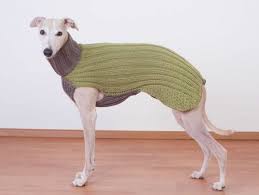 Natürlich kannst du deinen pulli auch häkeln. Hundepullover Selber Stricken Oder Aus Einem Alten Pulli Basteln Hunde Pullover Hundepullover Hunde Pullover Stricken
