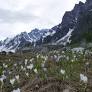 devero da www.mountainwilderness.it