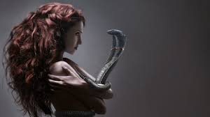 Jun 18, 2021 · the alleged incident occurred when the woman was returning home with her husband after attending the meeting. Women Snake Wallpapers Wallpaper Cave