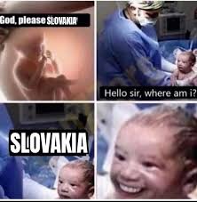 Slovak fighter ace ján režňák (32 victories + 5 unofficial) is showing his attack tactic to another slovak firghtter ace izidor kovárik (28. Slovakia R Okbuddyretard Okbuddyretard Know Your Meme