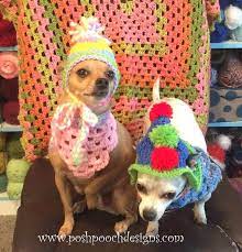 Crochet Dog S Birthday Hat With Pom Poms Free Pattern 26 Free Crochet Patterns For Pets To Make Th Crochet Dog Hat Free Pattern Crochet Dog Hat Crochet Dog