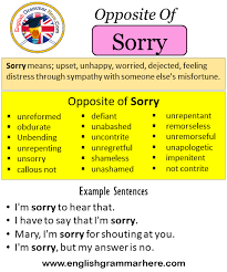 Opposite Of Sorry Antonyms Of Sorry Meaning And Example Sentences Sorry Means Upset Unhappy Worried Opposite Words Learn English Words Opposite Words List