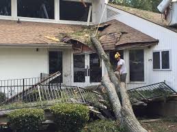 #2 best value of 31 places to stay in crossville. Pin On Emergency Tree Removal Services
