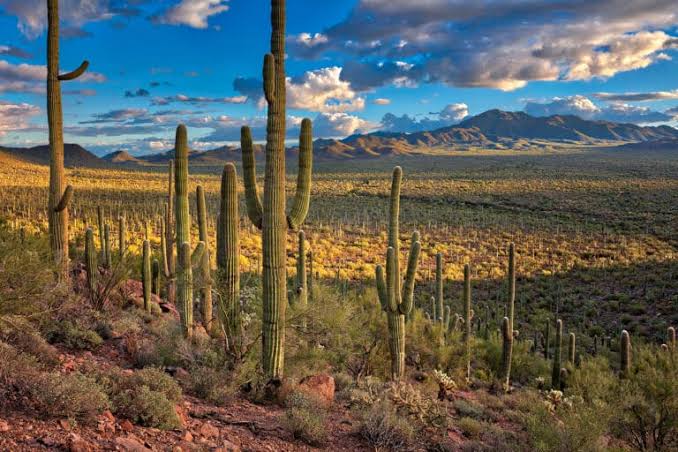 Arizona - Our Work in Arizona: Trust for Public Land